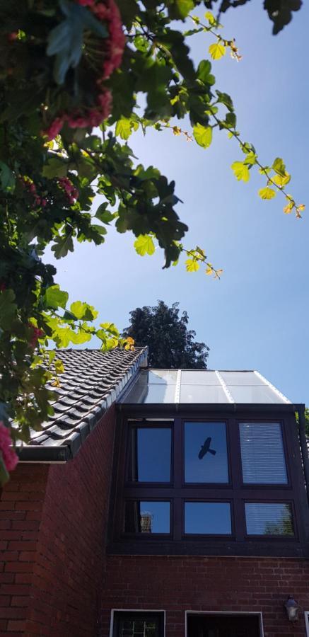 Giselas Haus Cloppenburg Exterior foto